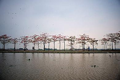 AMD和育碧合作：优化Snowdrop引擎